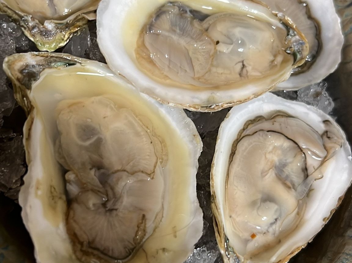 La Cocina de Lucho LLC